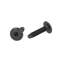 Śruba M6x25mm czarna